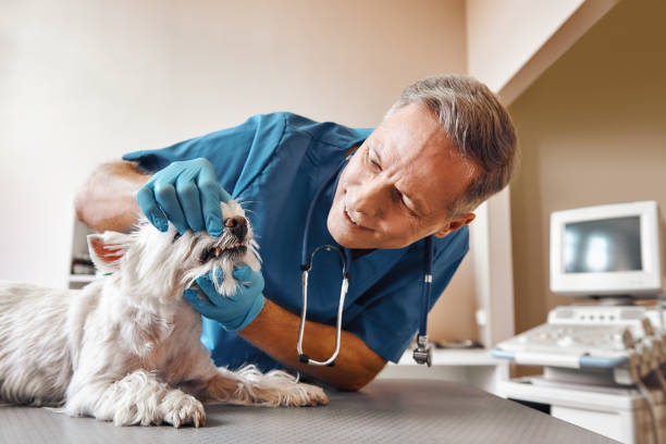 Best Emergency Dental Extractions in Lansing, KS